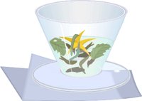 000803_1074_2914_vuvv.wmf