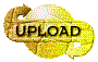 00ol201r.gif