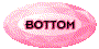 00p52007.gif