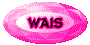 00pj2008.gif