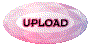 00pz2021.gif