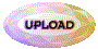 00pz2016.gif