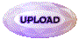 00pz2022.gif