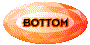 00p52026.gif
