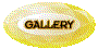 00pe202n.gif