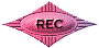 00r32021.gif