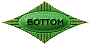 00qj202l.gif