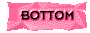 00rx2007.gif