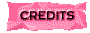00rz2007.gif