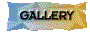 00s6200y.gif