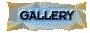 00s6202a.gif