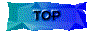 00sq2010.gif
