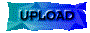 00sr2010.gif