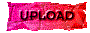 00sr201i.gif