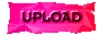00sr201y.gif