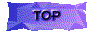 00sq2013.gif