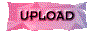 00sr2021.gif