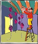 000803_1071_9439_vuvv.wmf