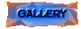 00s6202k.gif