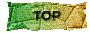 00sq201p.gif