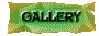 00s6202l.gif