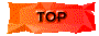 00sq201a.gif