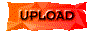 00sr201a.gif