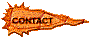 00tc200g.gif