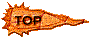 00u4200g.gif