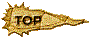 00u4200h.gif