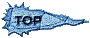 00u4200s.gif