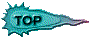 00u4201v.gif