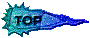 00u4201g.gif