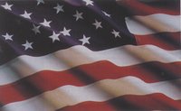 USAFLAG1.GIF