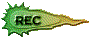 00tv2019.gif
