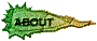 00t6201p.gif