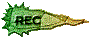 00tv201p.gif