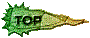 00u4201p.gif
