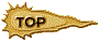 00u4203j.gif