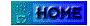 00vl2010.gif