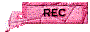 00wn200n.gif