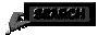 00wp200d.gif