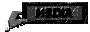 00x7200t.gif