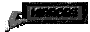 00x8200t.gif