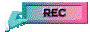00wn200z.gif