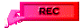 00wn2012.gif