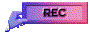 00wn2017.gif