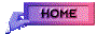 00wz2017.gif