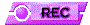 00y12004.gif