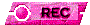 00y1200o.gif